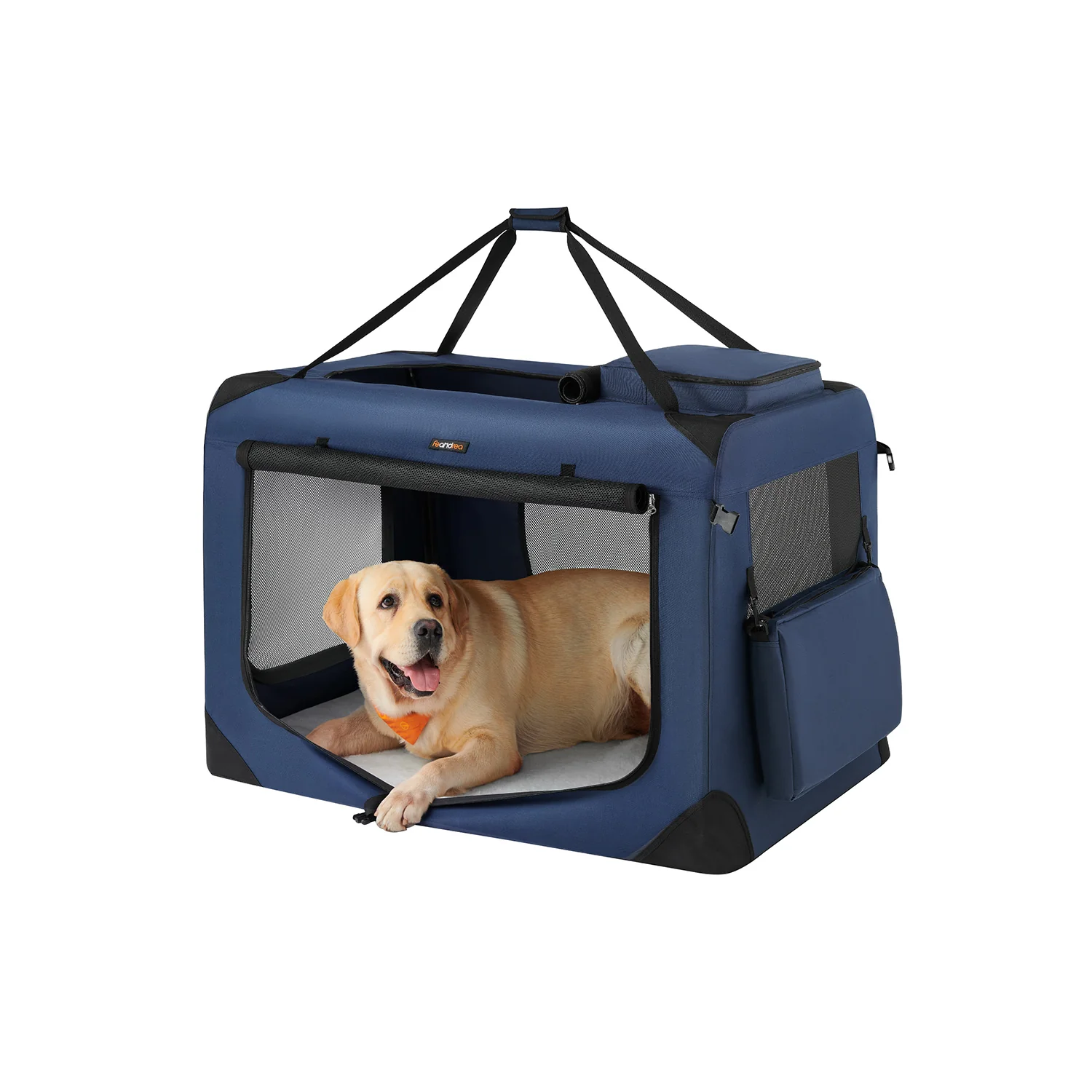 Tranportbox für Katzen und Hunde - Image 4